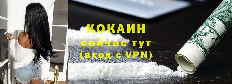 Cocaine Fish Scale  где купить   Коммунар 